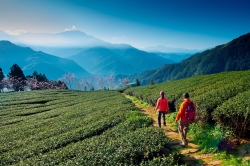 武界民宿導覽列車啟航嘍