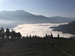 武界的雲海日出
